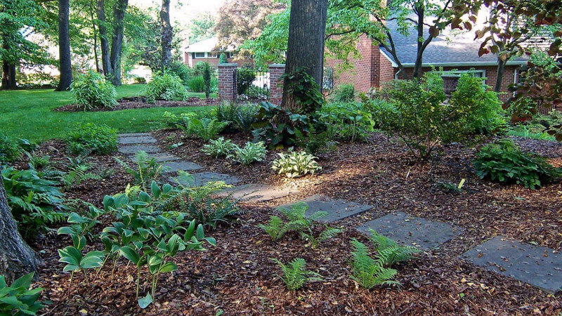 Pick Sustainable Lawn Alternatives