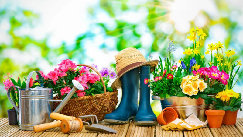 Maintain Regularly — But Efficiently 