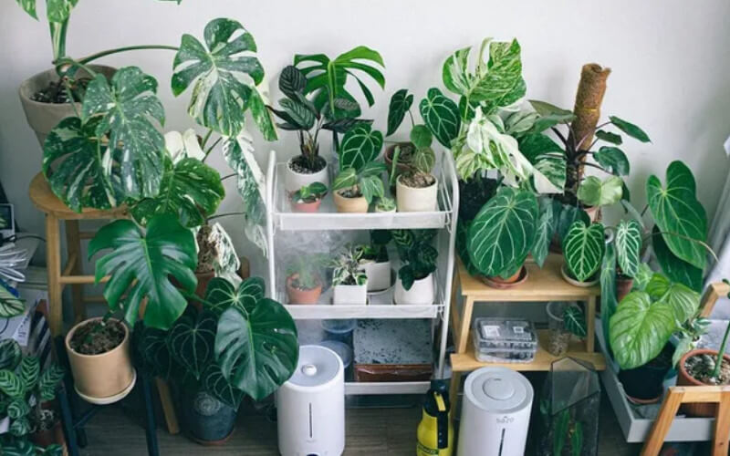 Make the Most of Natural Light