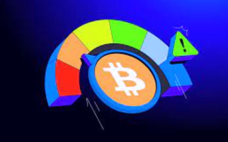 Risk Management in Crypto Investment