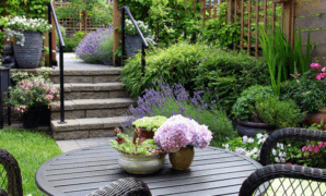 how to create a low-maintenance garden