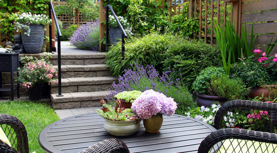 how to create a low-maintenance garden